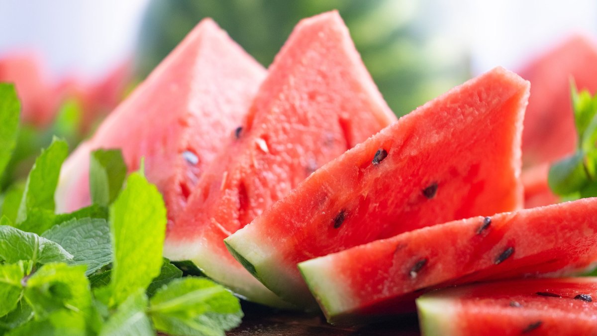 La sandía y el melón están dando satisfacciones este año a los productores