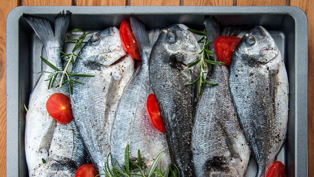Dorada para almorzar.