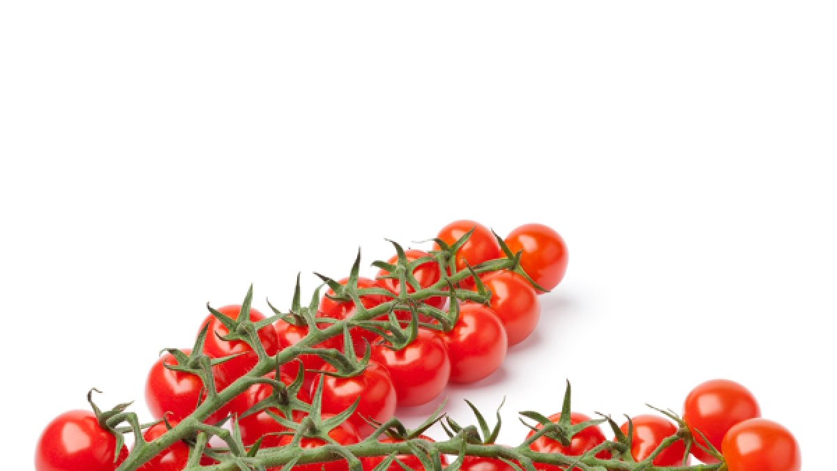 Tomate Cherry Rama Vicasol.