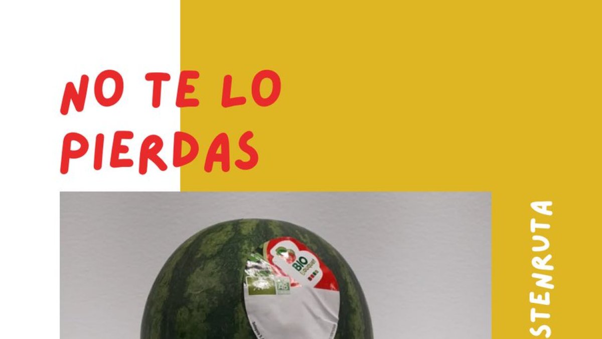 Sandia Mini Bouquet Bio