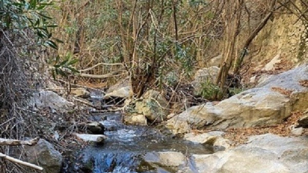 Paraje natural en \'La Cerrá\' de Tíjola.