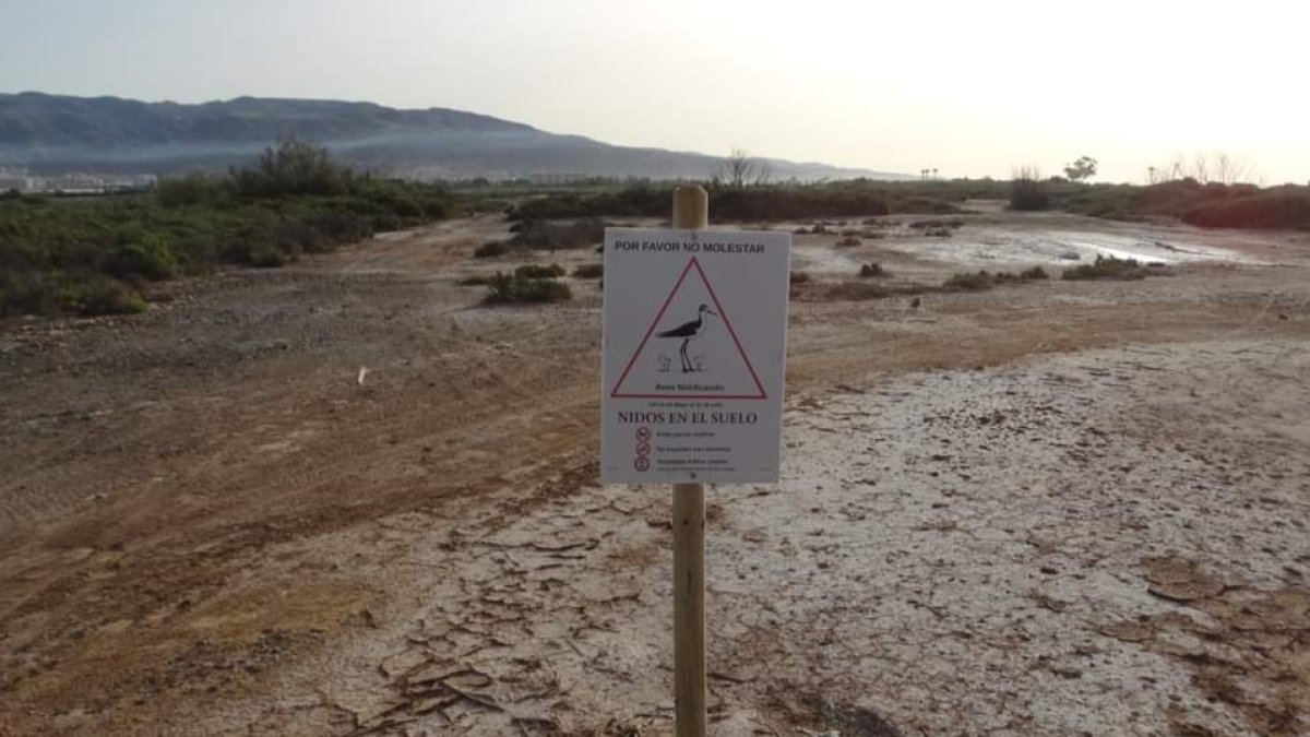 Carteles que prohíben el tránsito.