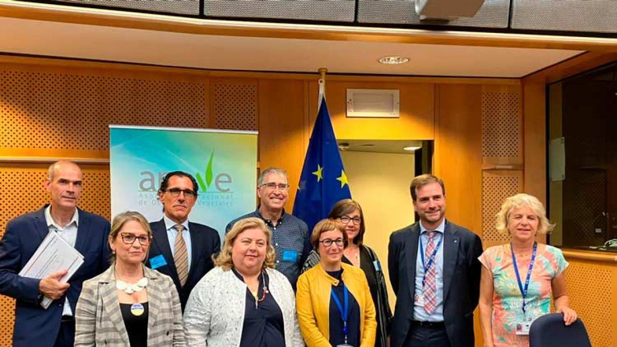 Presentación  Informe Cerdà -Anove. Parlamento europeo