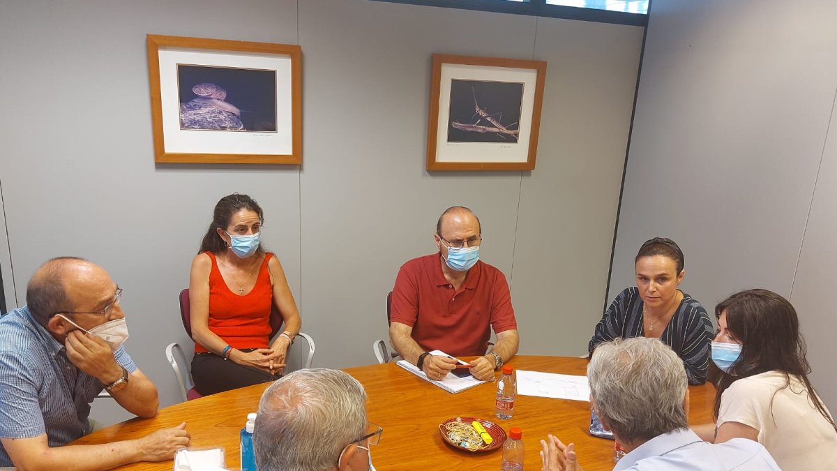 Reunión de responsables de la Junta con sus técnicos para estudiar las soluciones