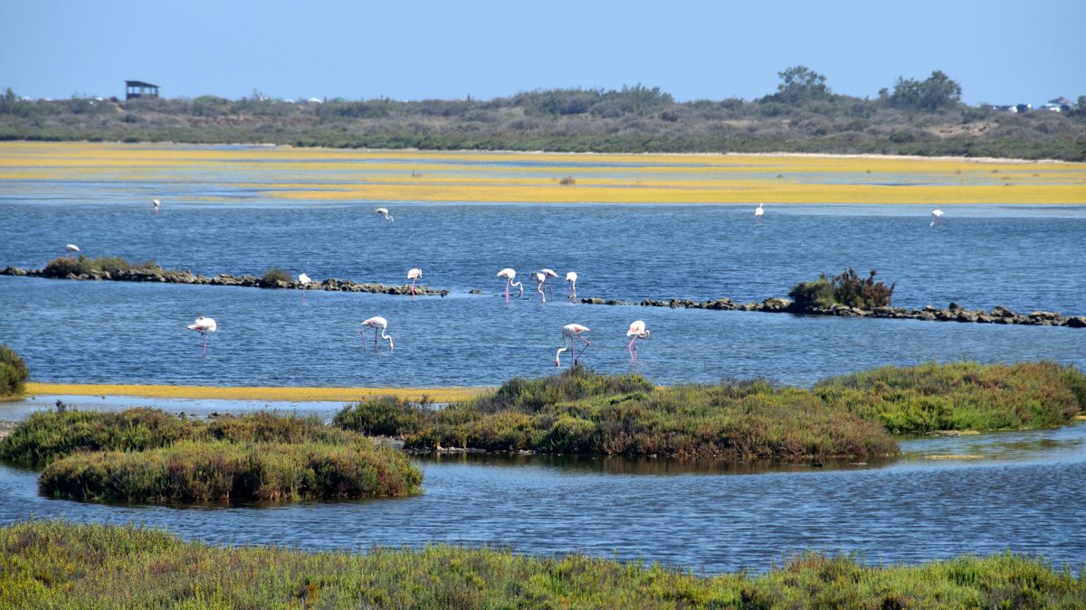 Imagen del mirador de las Salinas de Cabo de Gata.