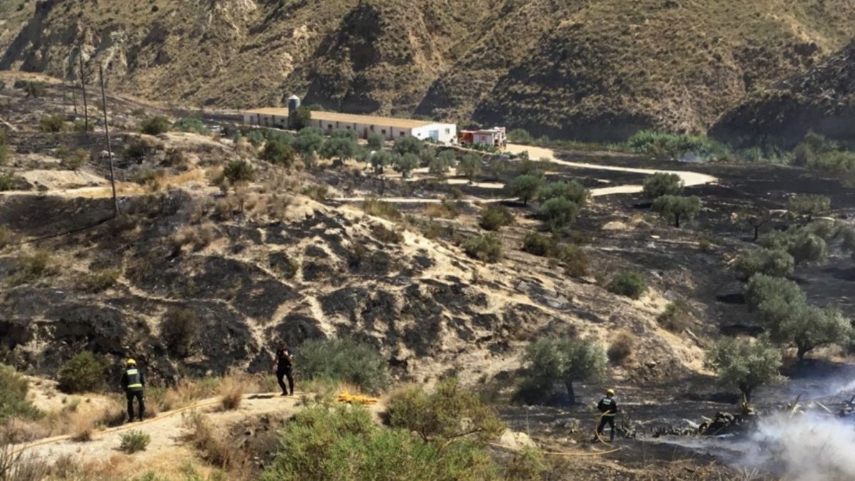 Bomberos del Levante actuando en el lugar del incendio.