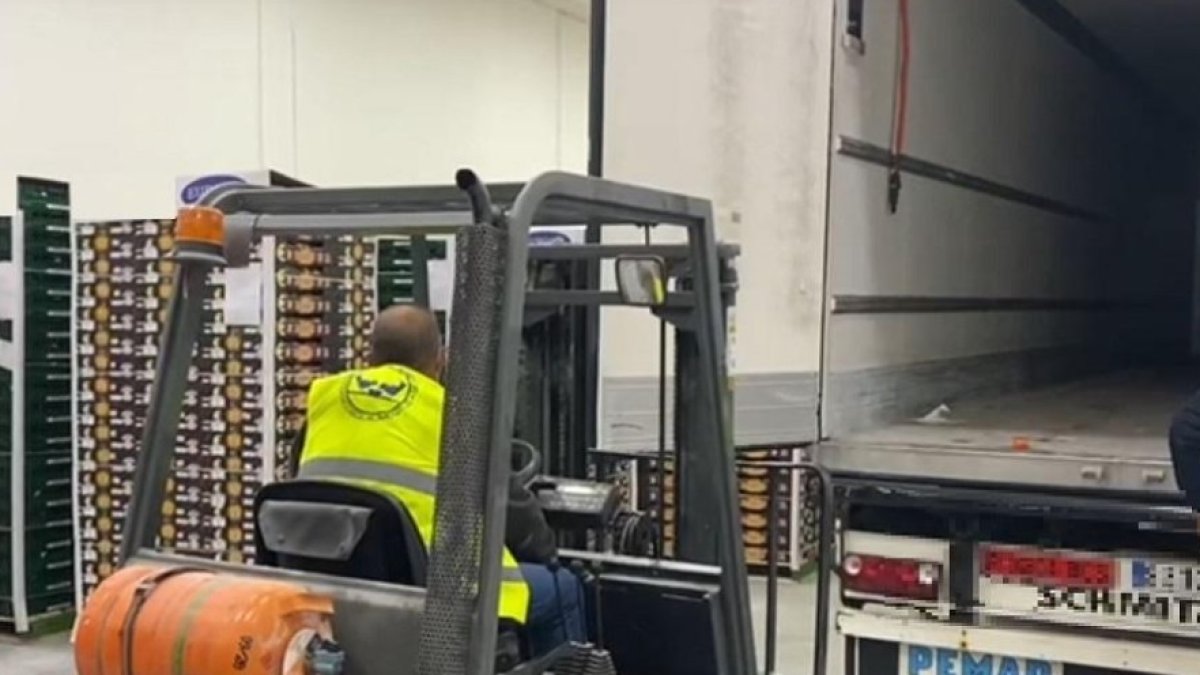 La droga iba escondida en un camión, entre berenjenas y pimientos.