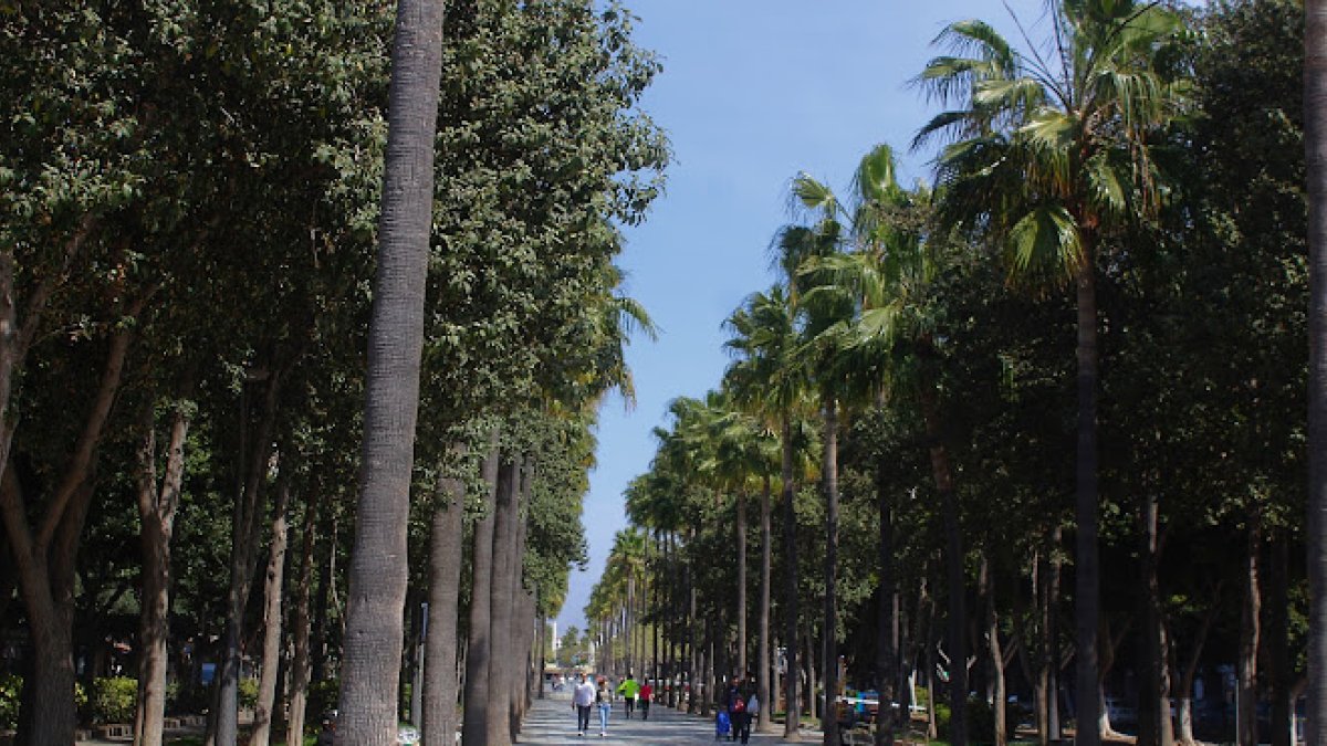 Estas son las calles que se cortarán en el mes de agosto.