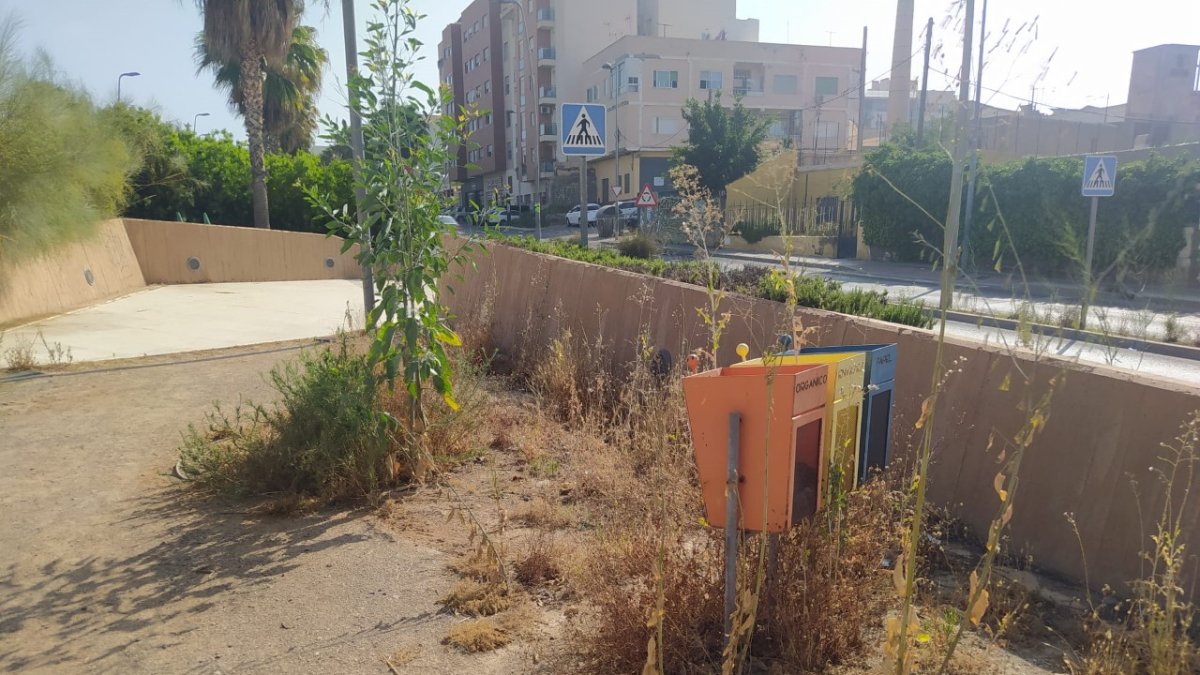 Algunos de los arbustos secos.