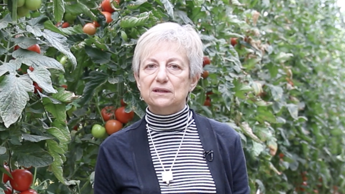 Marisa Gallardo, investigadora ceiA3 UAL