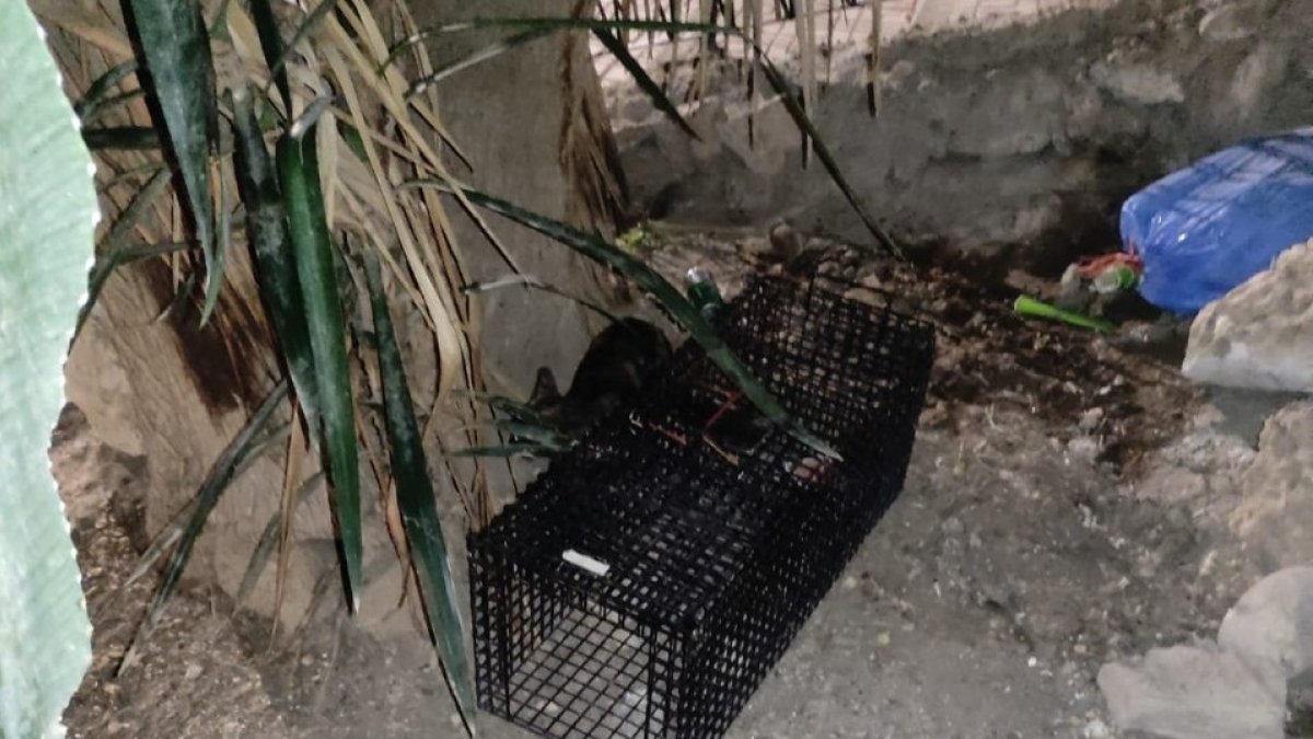 Las cajas que no se deben tocar para colaborar con esta iniciativa tienen esta forma.