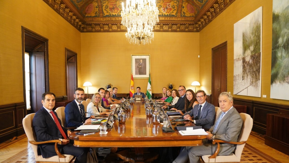 Imagen del Consejo de Gobierno de este martes.