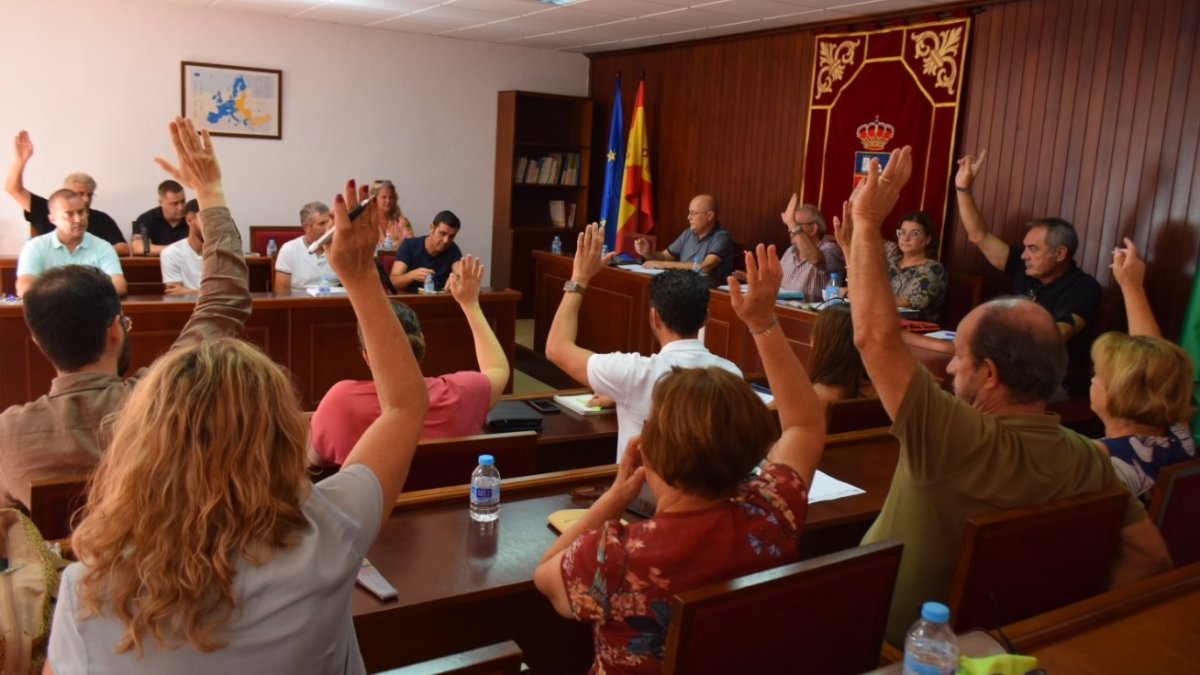 Pleno del Ayuntamiento de Vícar.