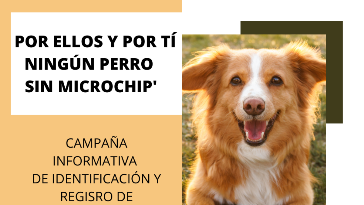Cartel de la campaña cuevana para informar de la obligatoriedad del chip de identificación de mascotas.
