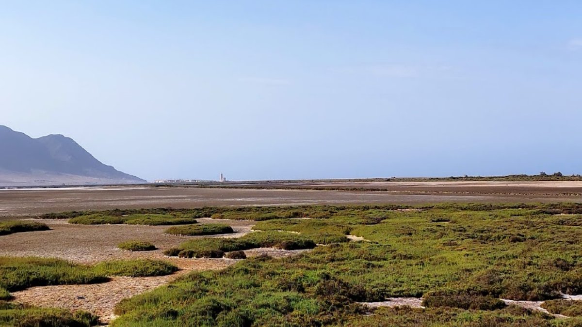 Las Salinas, secas tras la obtrucción en la galería.