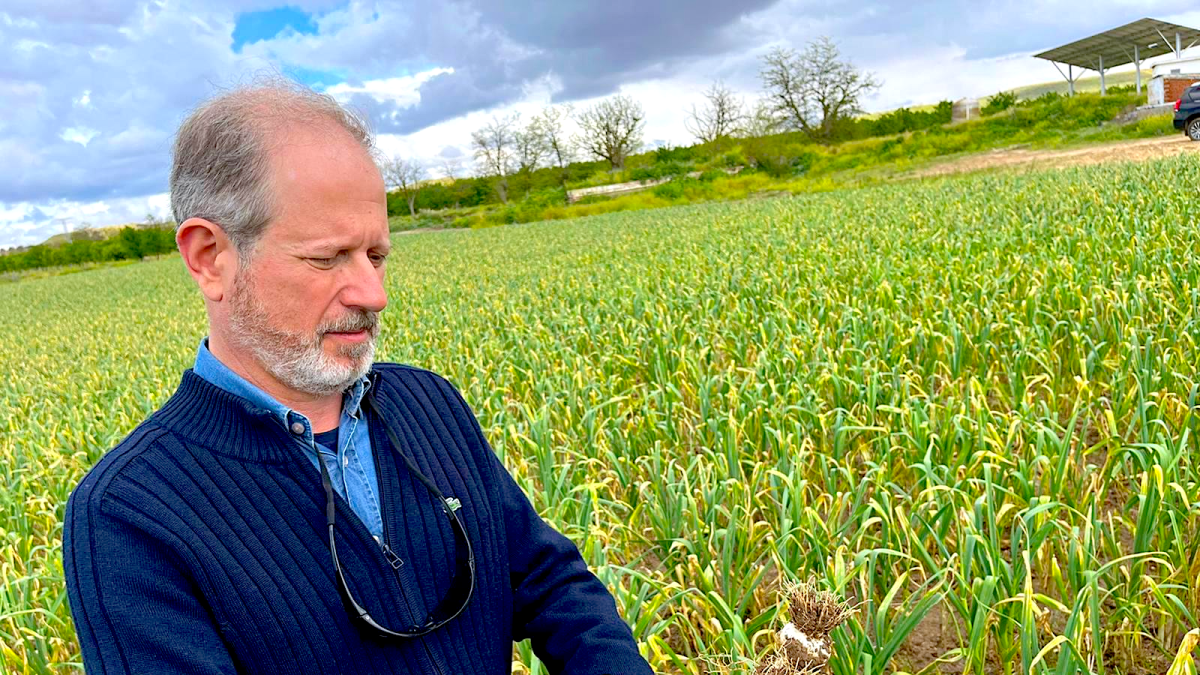 Javier Villegas, Koppert