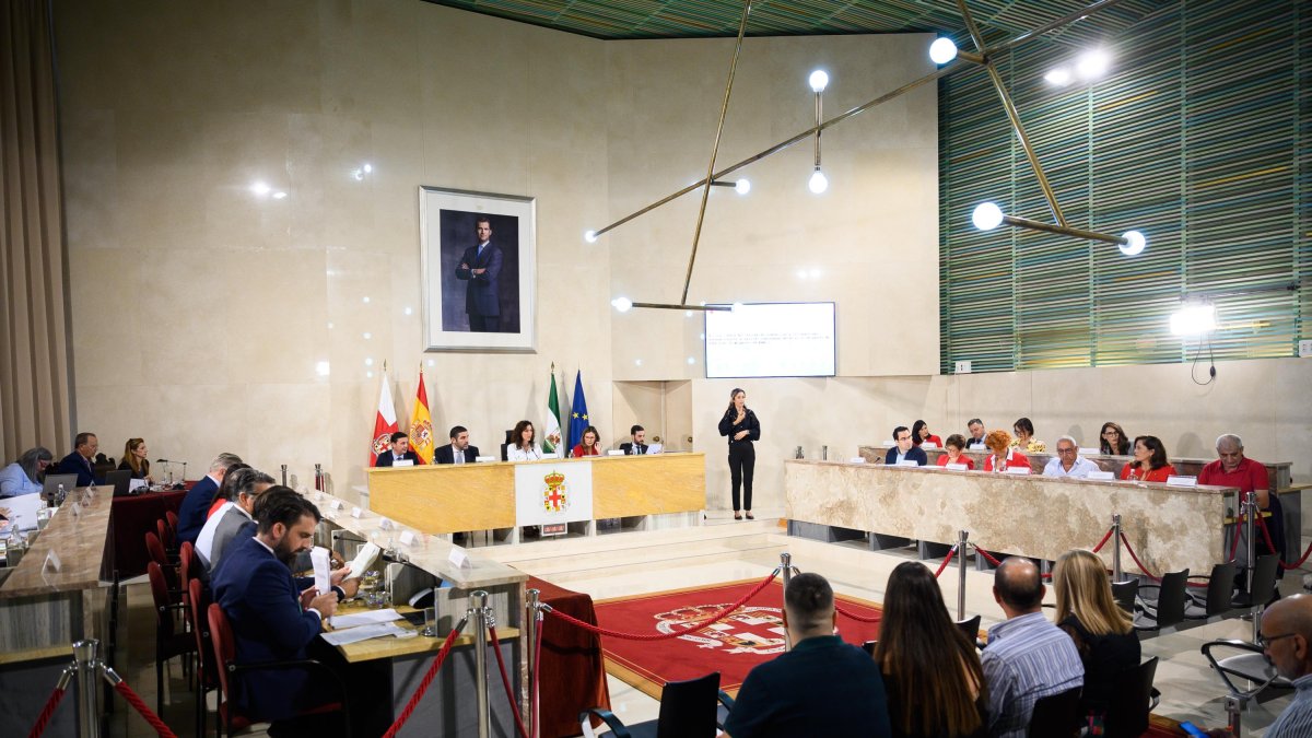 Imagen del Pleno del Ayuntamiento de Almería.