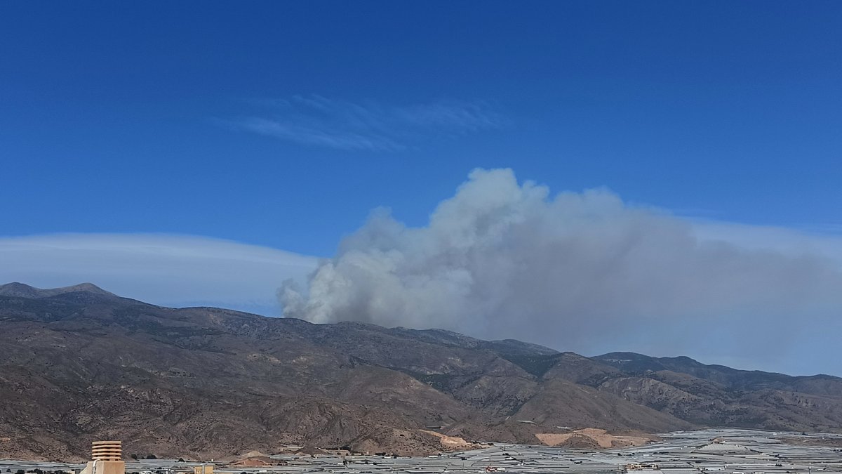 Vista desde El Ejido de la columna de humo asomando tras la Sierra de Gádor.