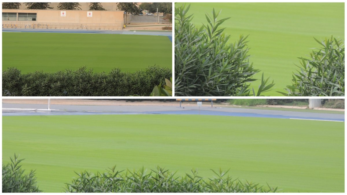 El Anexo vuelve a ser verde y estará para la vuelta al trabajo durante el Mundial.