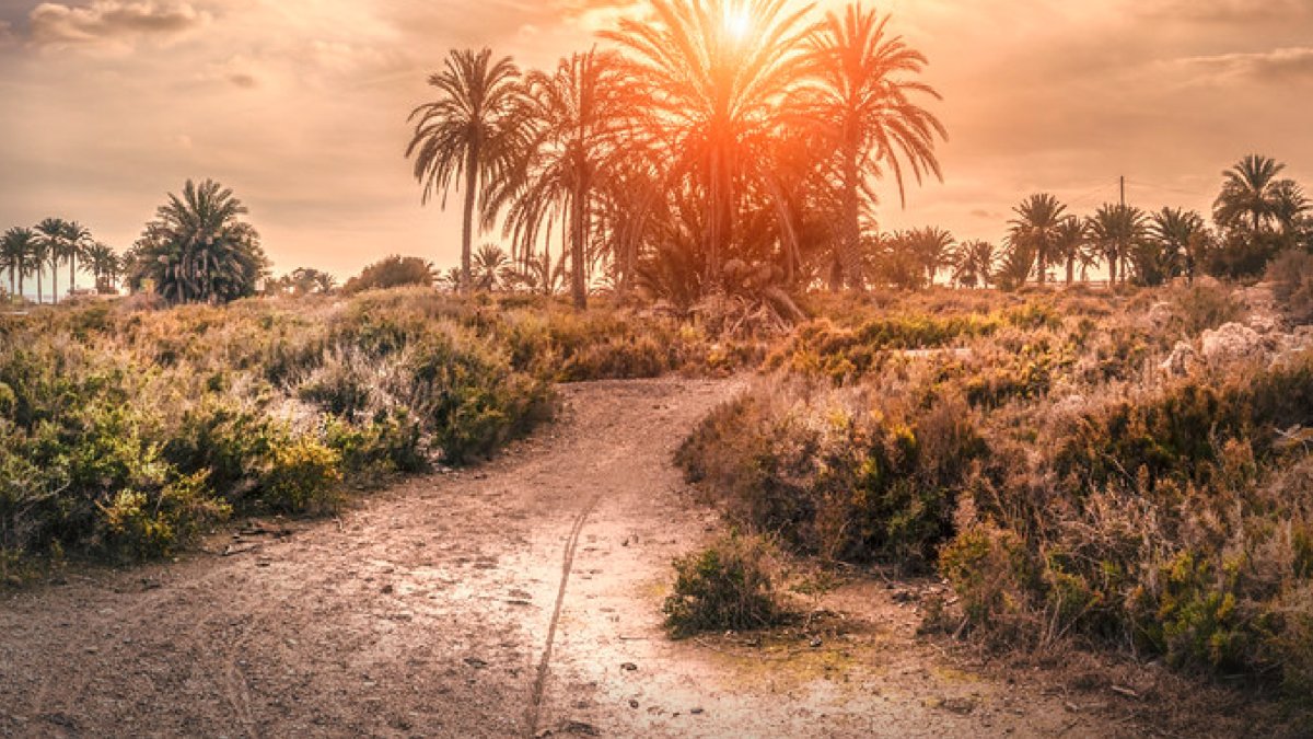 Esta es la imagen, de Blas Fuentes, que ilustra el cartel de las Jornadas.