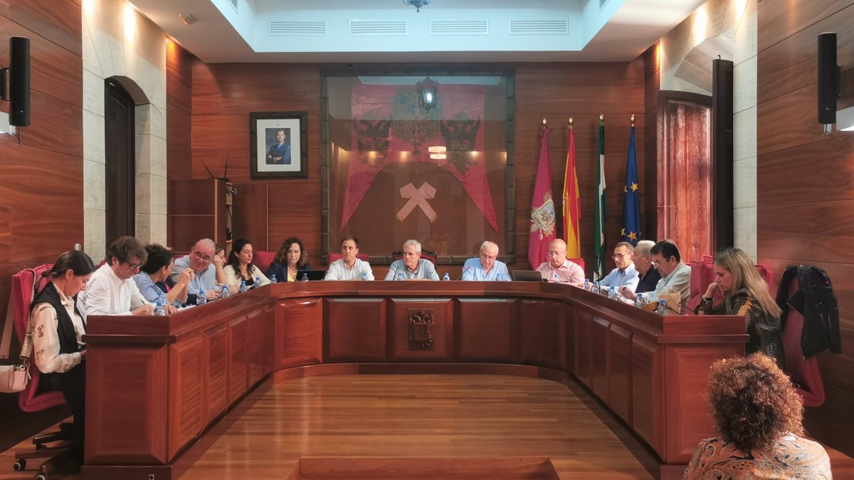Pleno celebrado este viernes en el Ayuntamiento de Vera.