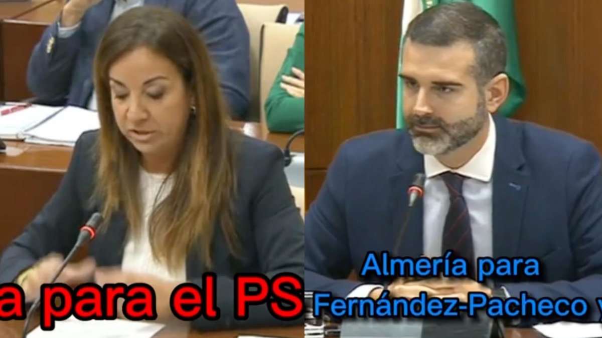 La parlamentaria sevilla Encarnación Martínez y el consejero Ramón Fernández-Pacheco, en el Parlamento