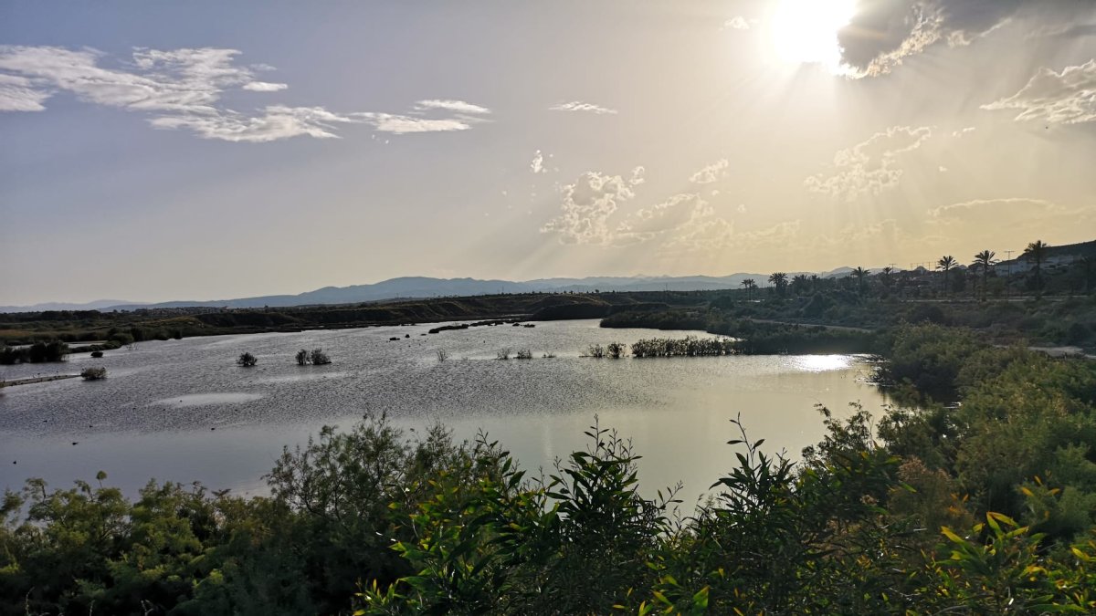 El humedal Salar de los Canos en Vera.