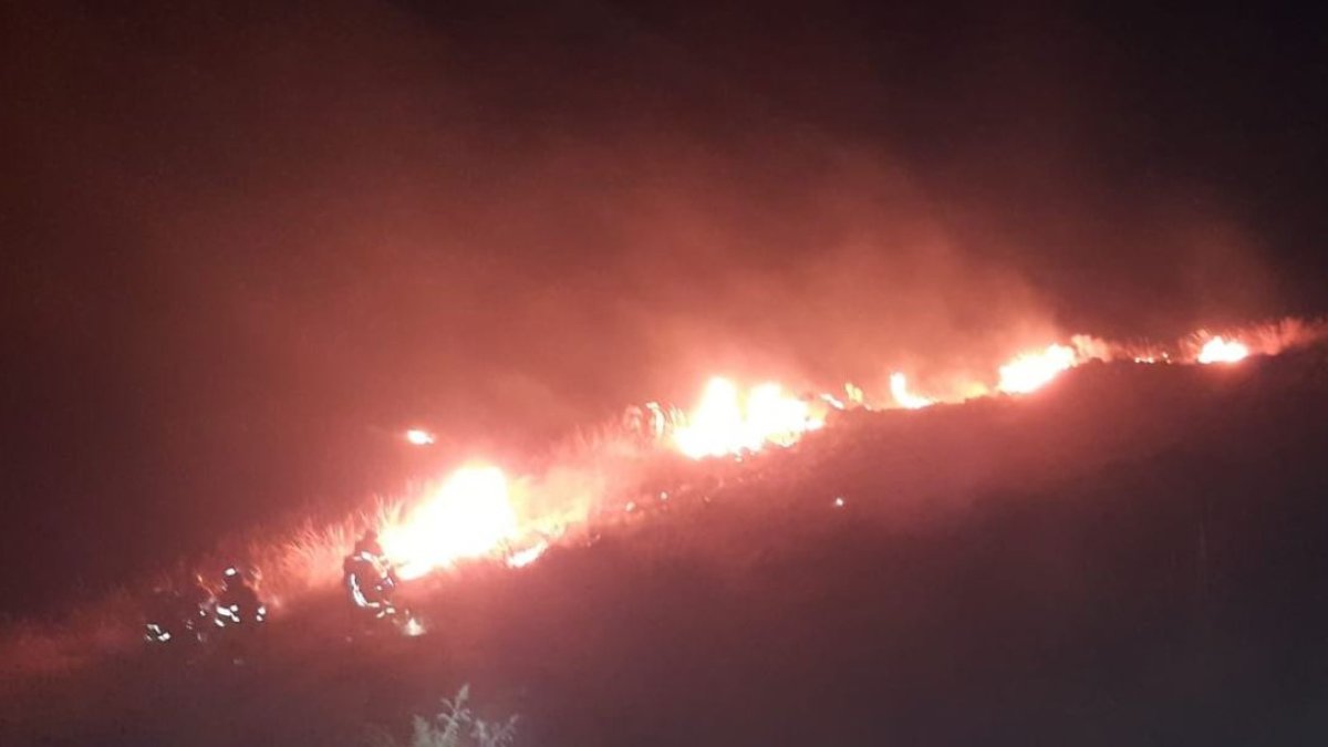 Imagen compartida por el Infoca en su cuenta de Twitter.