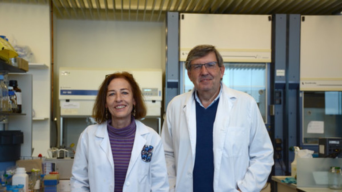 Rosa Hermosa y Enrique Monte, investigadores del CIALE y AGRIENVIRONMENT.