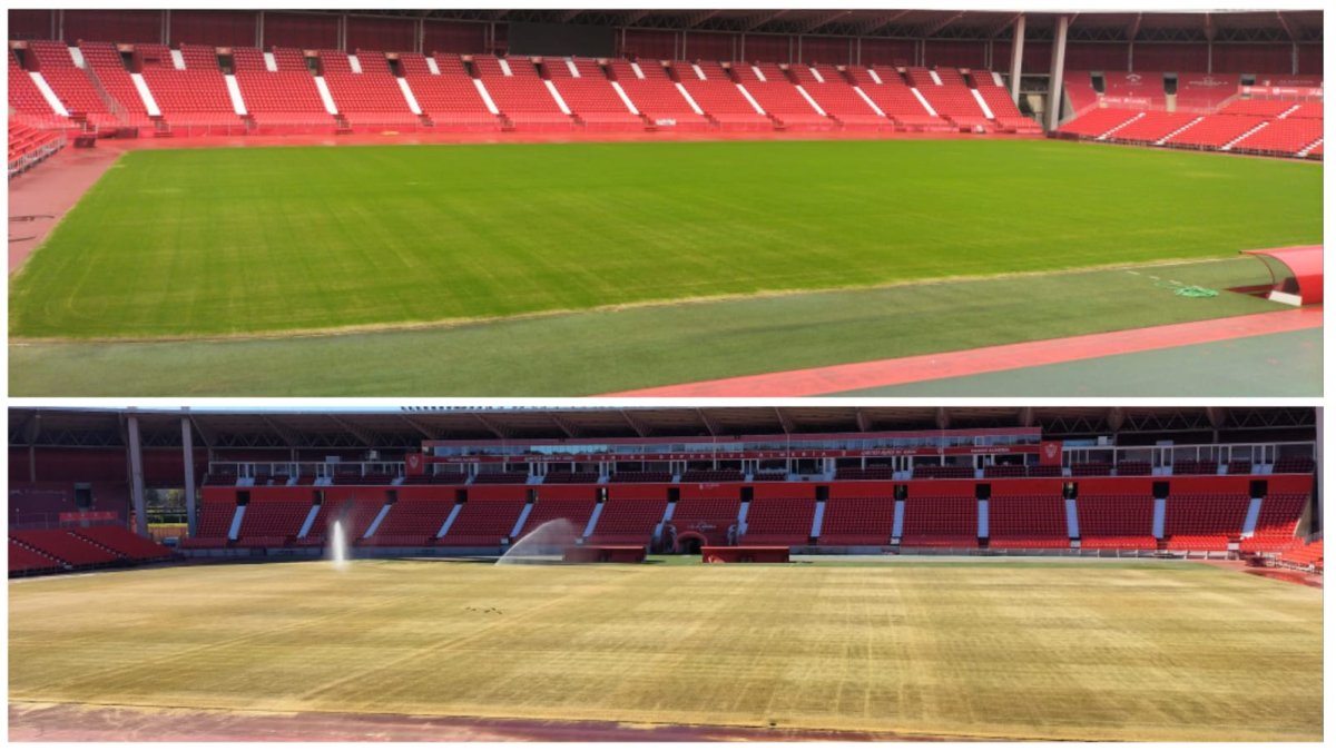 El antes y el después de la hierba del Estadio de los Juegos Mediterráneos.