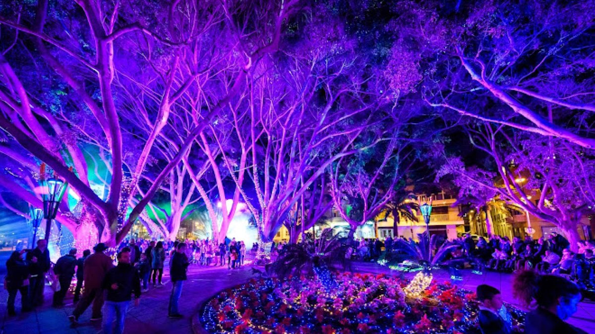 Así está el Parque Nicolás Salmerón con \'Posidonia. Un mar de luz\'.
