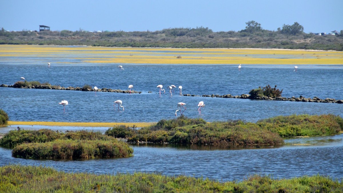 Imagen de archivo en Las Salinas.