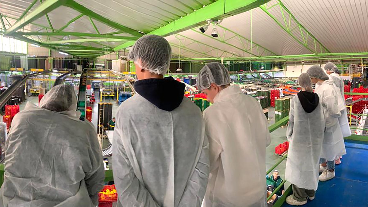 Alumnos del IES Albaida durante una visita a la cooperativa de UNICA Natursur