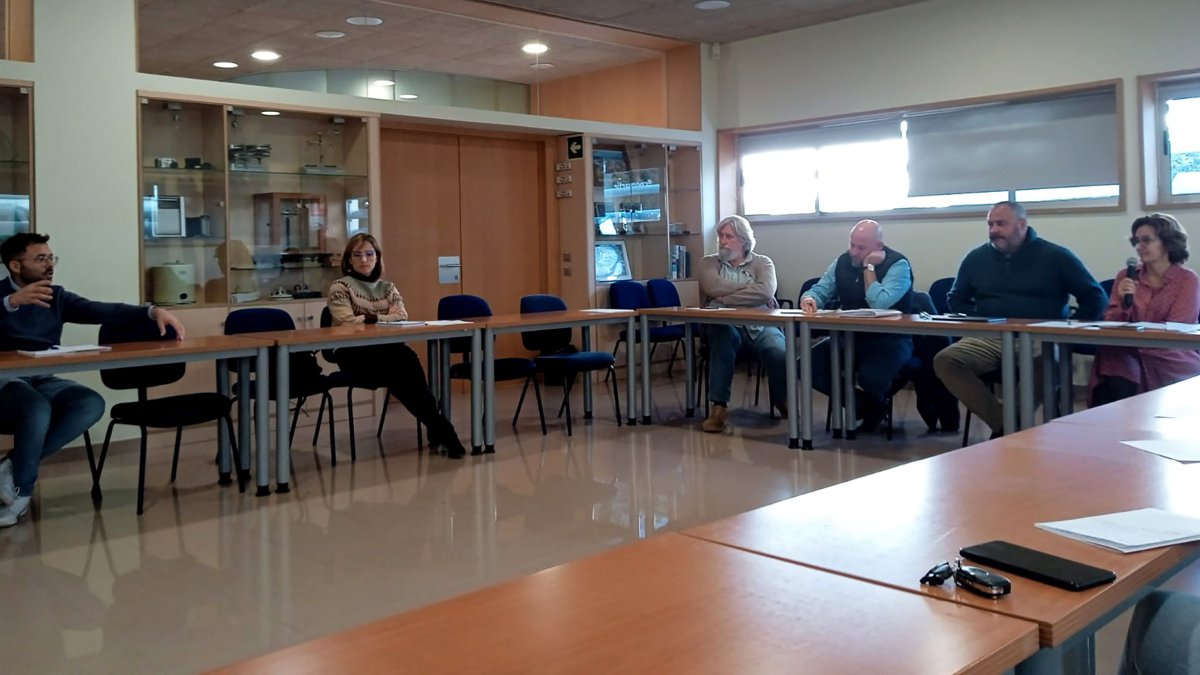 Reunión Comité Técnicos Ornamental