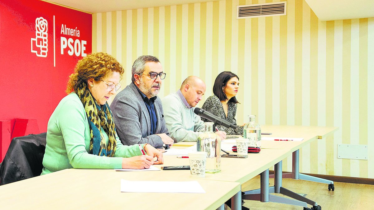 Cúpula de la dirección del PSOE de Almería.