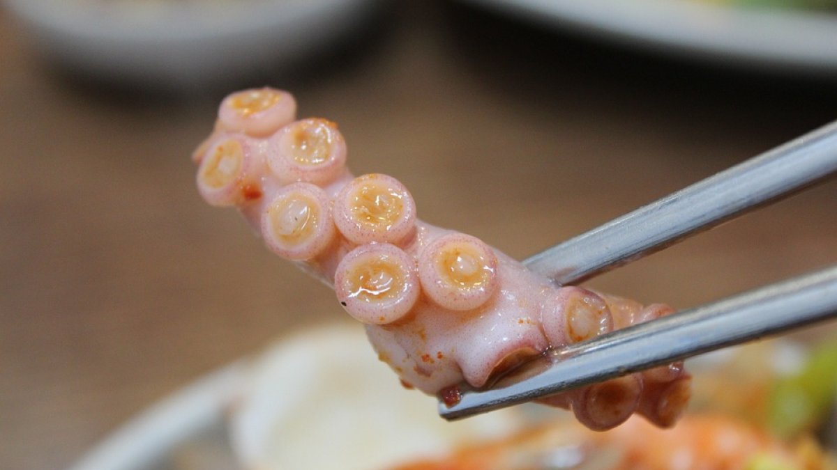 Pulpo para el almuerzo.