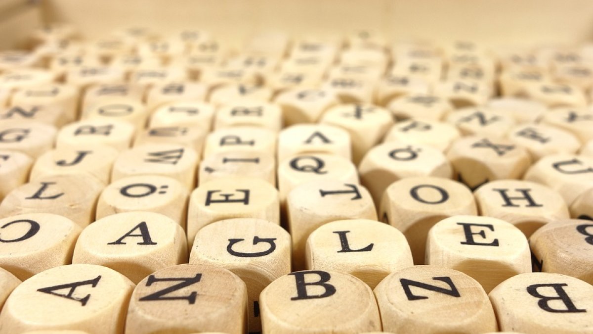 La RAE ha presentado las novedades del Diccionario de la lengua española.