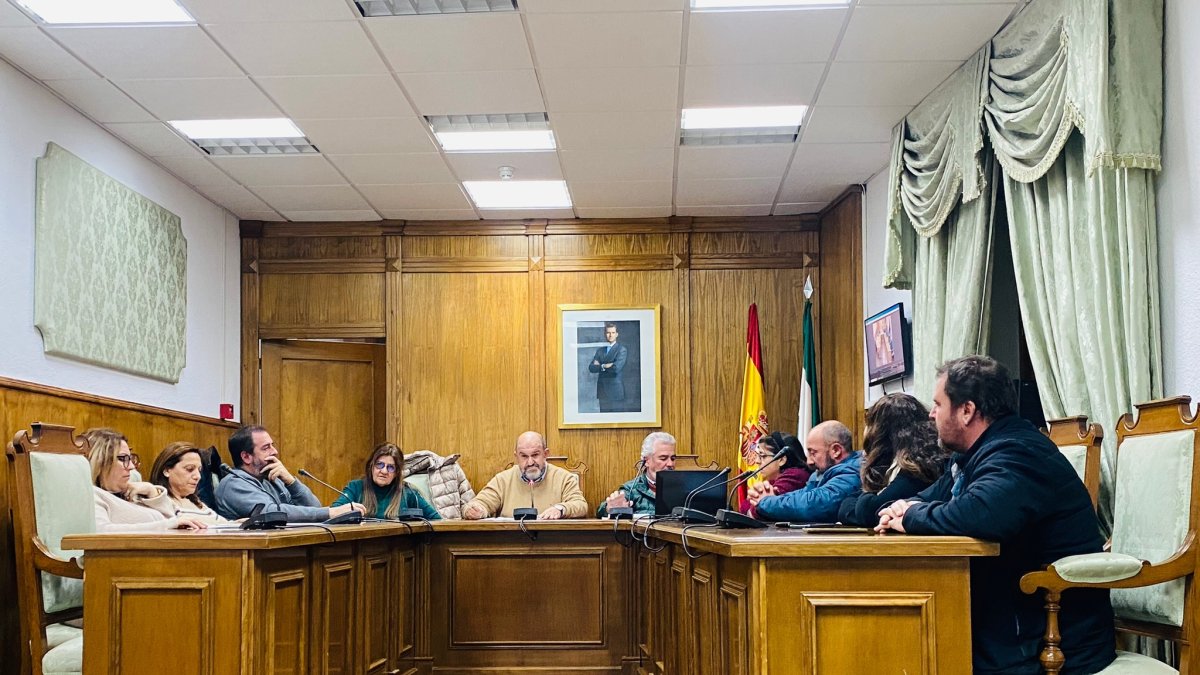 Un momento del pleno celebrado este lunes en Dalías.