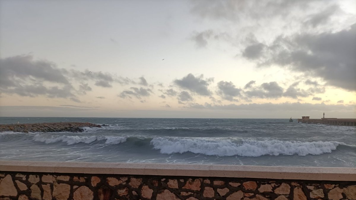 Paseo Marítimo de Almería.