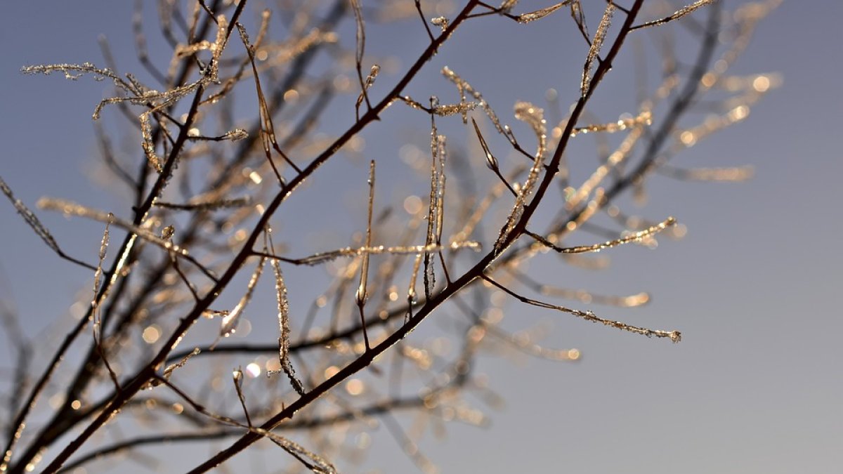 Bajan las temperaturas en esta última semana de enero.