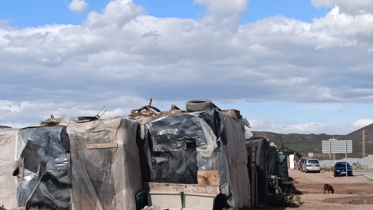 Imagen actual del asentamiento chabolista de El Walili.