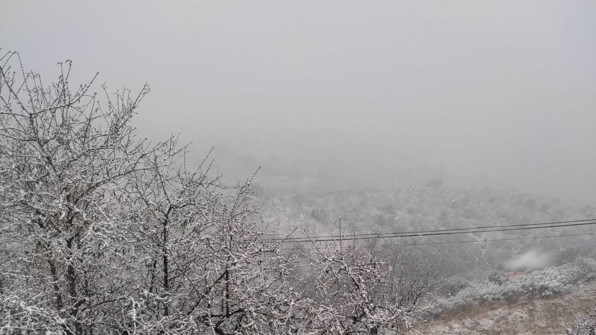 Imagen de Alcudia de Monteagud de esta semana.