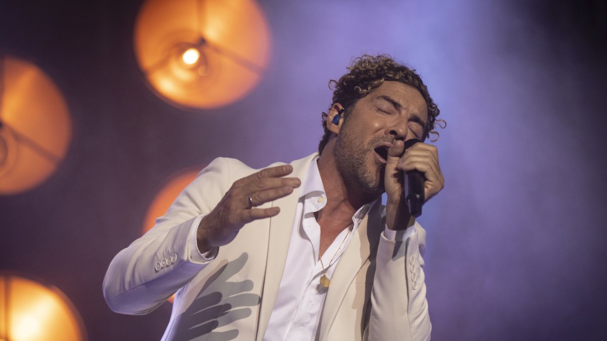 David Bisbal, durante un concierto en Sevilla.