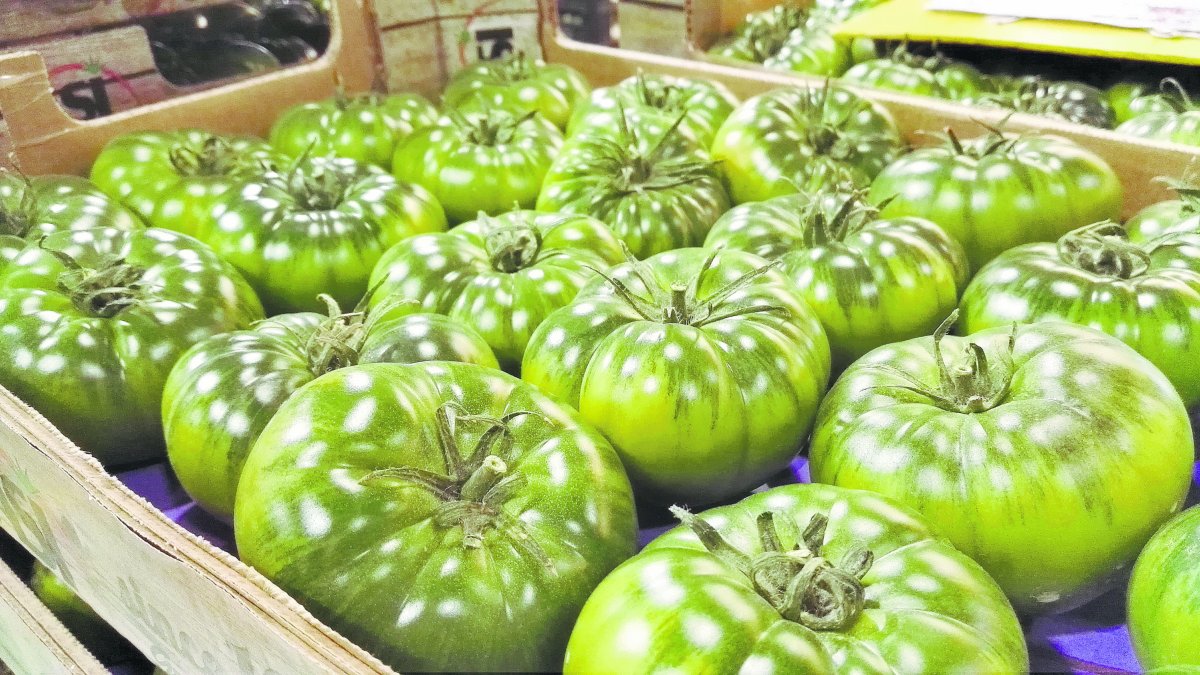 El tomate ha recuperado terreno con los precios más elevados en origen registrados desde la pasada década.