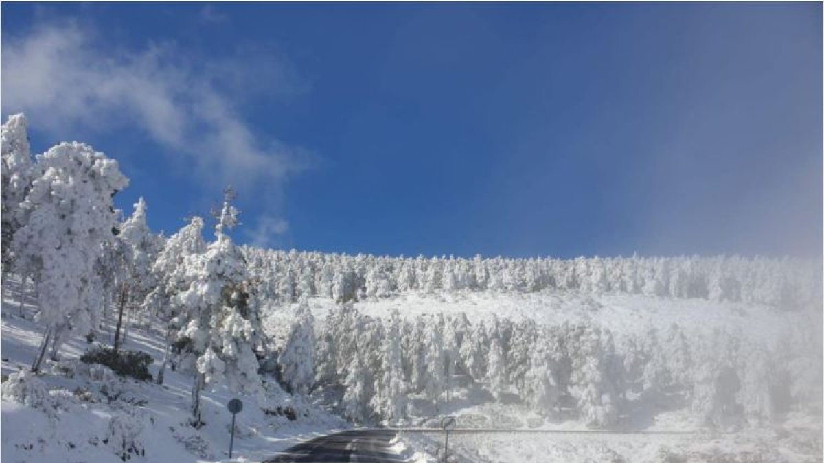 Imagen tomada este lunes por personal de Carreteras de Diputación.