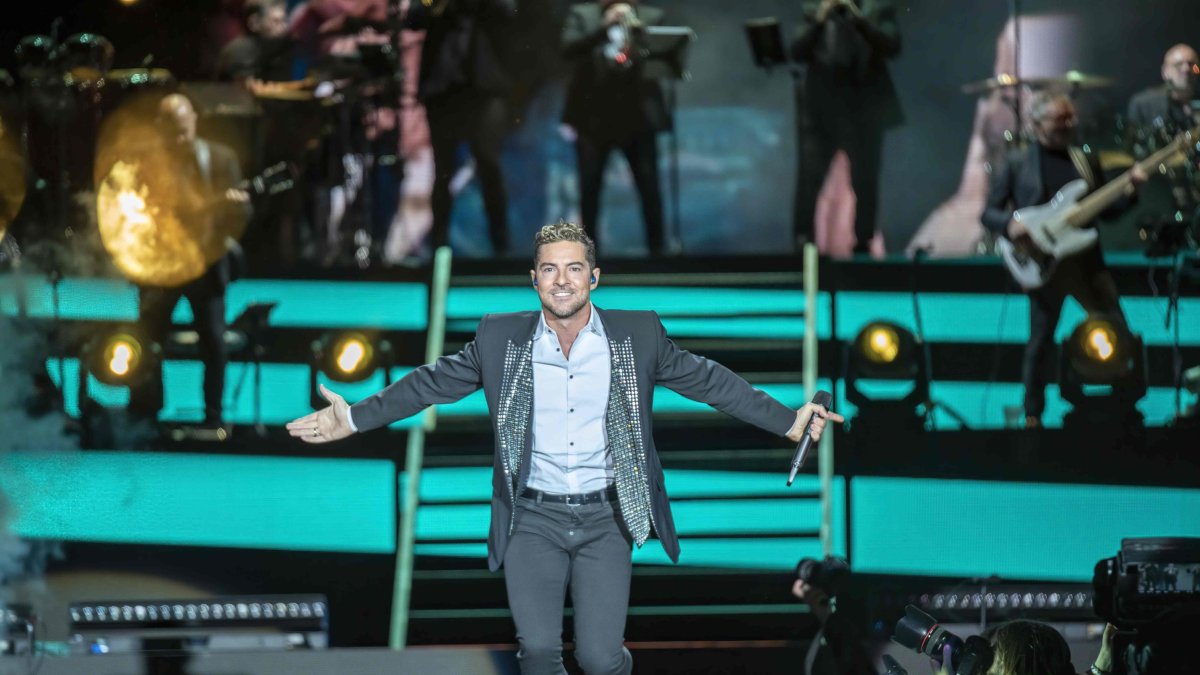 David Bisbal, durante un concierto.