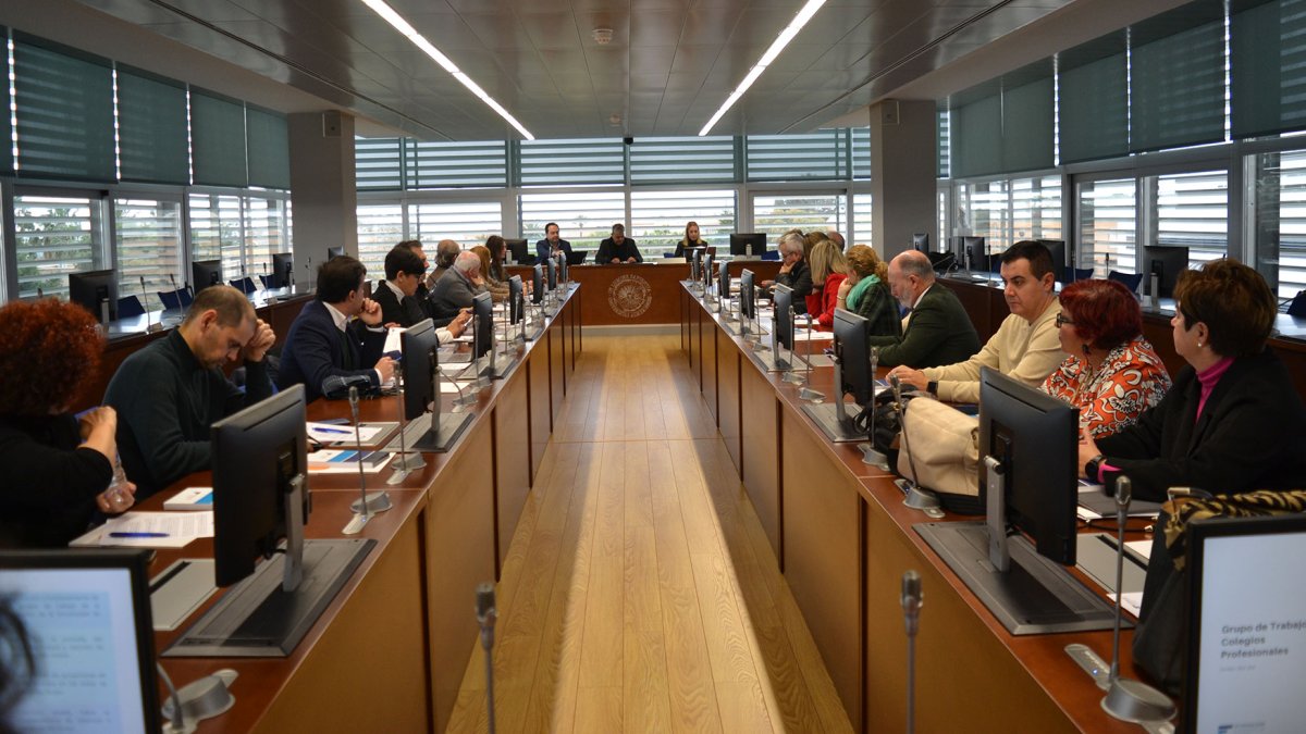 Reunión del rector con los colegios profesionales.