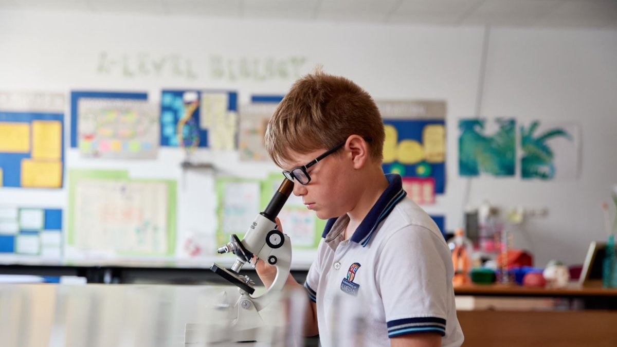 Ayudan al alumno a conseguir un aprendizaje más eficiente y natural