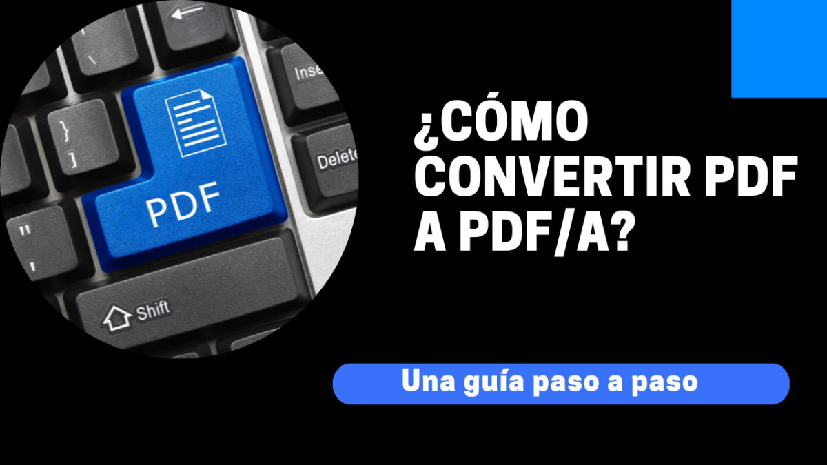 Existen diferentes versiones de la norma PDF/A.