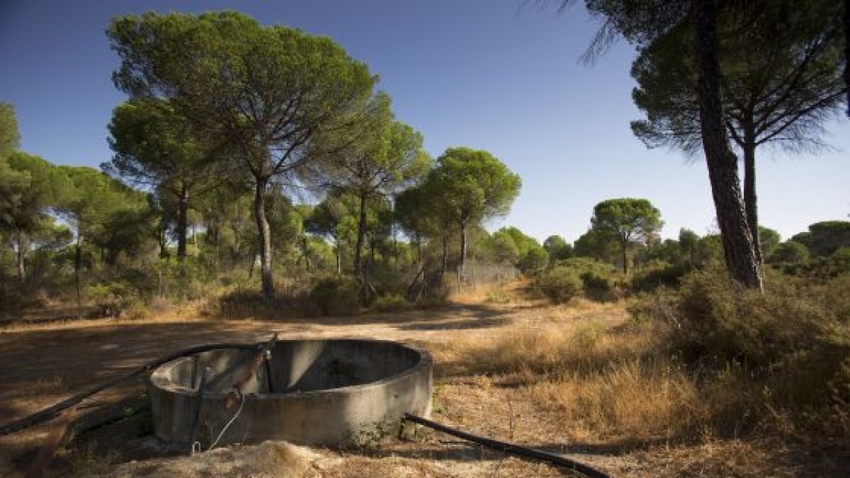 El objetivo de la campaña es acabar con la perforación de pozos ilegales